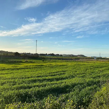 La Macadamia Σαν Κριστόμπαλ ντε Λα Λαγούνα