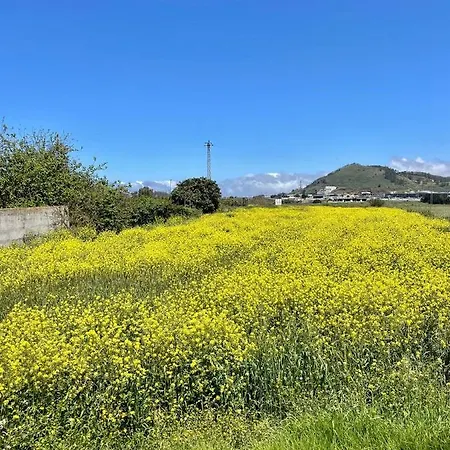 La Macadamia * Σαν Κριστόμπαλ ντε Λα Λαγούνα